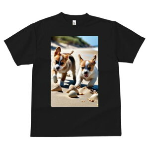 R[M[ TVc fB[X t@  t  vg JWA 킢 lԗp h ̃fUC ʔ r[` R[M[ C  Lk