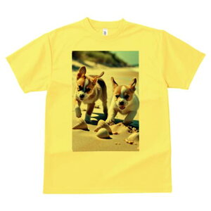 R[M[ TVc fB[X t@  t  vg JWA 킢 lԗp h ̃fUC ʔ r[` R[M[ C  Lk