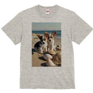 R[M[ TVc fB[X t@  t  vg JWA 킢 lԗp h ̃fUC ʔ r[` R[M[ C  Lk