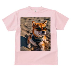 Č TVc fB[X t@  t  vg JWA 킢 lԗp h ̃fUC ʔ TOX Č l n[lX