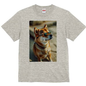 Č TVc fB[X t@  t  vg JWA 킢 lԗp h ̃fUC ʔ TOX Č 