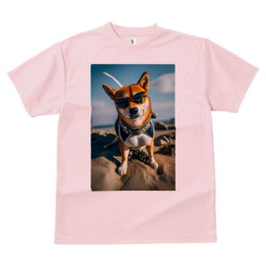 Č TVc fB[X t@  t  vg JWA 킢 lԗp h ̃fUC ʔ TOX Č r[`  t@bV