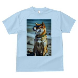 Č TVc fB[X t@  t  vg JWA 킢 lԗp h ̃fUC ʔ TOX Č