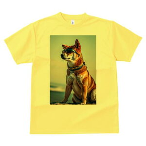 Č TVc fB[X t@  t  vg JWA 킢 lԗp h ̃fUC ʔ TOX Č 