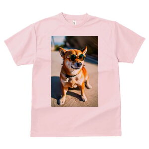 Č TVc fB[X t@  t  vg JWA 킢 lԗp h ̃fUC ʔ TOX Č