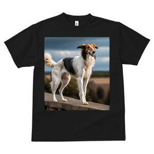 {]C TVc fB[X t@  t  vg JWA 킢 lԗp h ̃fUC ʔ wi {]C