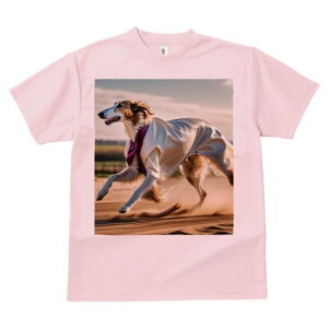 {]C TVc fB[X t@  t  vg JWA 킢 lԗp h ̃fUC ʔ  {]C X[c lN^C