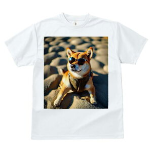 Č TVc fB[X t@  t  vg JWA 킢 lԗp h ̃fUC ʔ TOX Č l