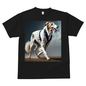 {]C TVc fB[X t@  t  vg JWA 킢 lԗp h ̃fUC ʔ X[c {]C