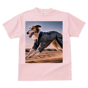 {]C TVc fB[X t@  t  vg JWA 킢 lԗp h ̃fUC ʔ X[c {]C