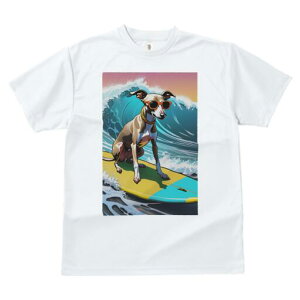 C^AO[nEh TVc fB[X t@  t  vg JWA 킢 lԗp h ̃fUC ʔ g C^AO[nEh T[tB T