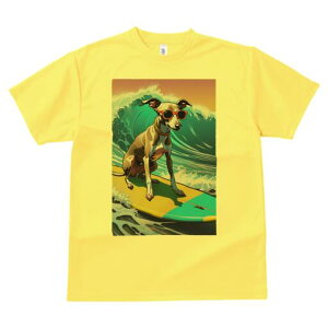 C^AO[nEh TVc fB[X t@  t  vg JWA 킢 lԗp h ̃fUC ʔ g C^AO[nEh T[tB T