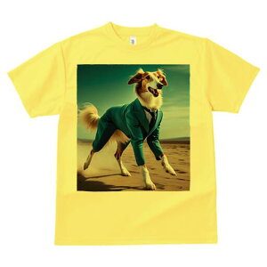 {]C TVc fB[X t@  t  vg JWA 킢 lԗp h ̃fUC ʔ X[c {]C lN^C  