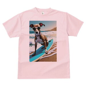 C^AO[nEh TVc fB[X t@  t  vg JWA 킢 lԗp h ̃fUC ʔ T[tB C^AO[nEh C r