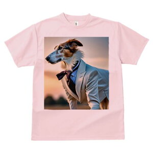 {]C TVc fB[X t@  t  vg JWA 킢 lԗp h ̃fUC ʔ X[c {]C lN^C