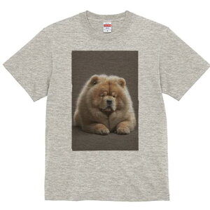 `E`E TVc fB[X t@  t  vg JWA 킢 lԗp h ̃fUC ʔ ӂӂ `E`E 킢 ʂ