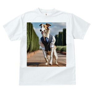 {]C TVc fB[X t@  t  vg JWA 킢 lԗp h ̃fUC ʔ X[c {]C lN^C rWlX 