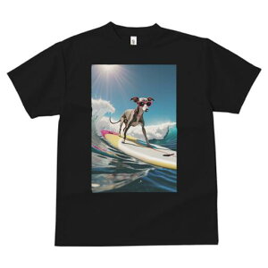 C^AO[nEh TVc fB[X t@  t  vg JWA 킢 lԗp h ̃fUC ʔ T[tB C^AO[nEh g C 