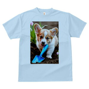 R[M[ TVc fB[X t@  t  vg JWA 킢 lԗp h ̃fUC ʔ Vx R[M[  y 