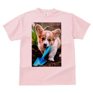 R[M[ TVc fB[X t@  t  vg JWA 킢 lԗp h ̃fUC ʔ Vx R[M[  y 