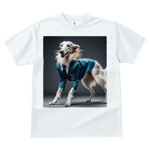 {]C TVc fB[X t@  t  vg JWA 킢 lԗp h ̃fUC ʔ X[c {]C lN^C