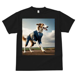 {]C TVc fB[X t@  t  vg JWA 킢 lԗp h ̃fUC ʔ X[c {]C lN^C