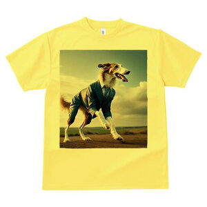 {]C TVc fB[X t@  t  vg JWA 킢 lԗp h ̃fUC ʔ X[c {]C lN^C