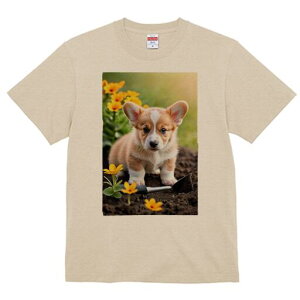 R[M[ TVc fB[X t@  t  vg JWA 킢 lԗp h ̃fUC ʔ  R[M[  y Vx