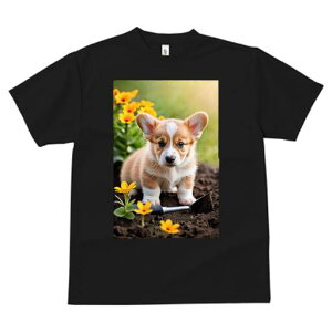 R[M[ TVc fB[X t@  t  vg JWA 킢 lԗp h ̃fUC ʔ  R[M[  y Vx