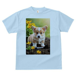 R[M[ TVc fB[X t@  t  vg JWA 킢 lԗp h ̃fUC ʔ  R[M[  y Vx