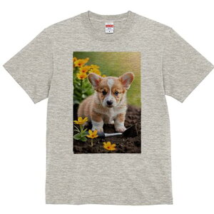 R[M[ TVc fB[X t@  t  vg JWA 킢 lԗp h ̃fUC ʔ  R[M[  y Vx