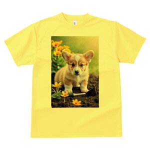 R[M[ TVc fB[X t@  t  vg JWA 킢 lԗp h ̃fUC ʔ  R[M[  y Vx