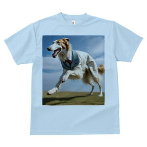 {]C TVc fB[X t@  t  vg JWA 킢 lԗp h ̃fUC ʔ X[c {]C lN^C  