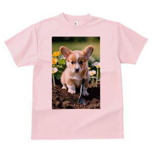 R[M[ TVc fB[X t@  t  vg JWA 킢 lԗp h ̃fUC ʔ  R[M[  y Vx