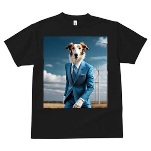 {]C TVc fB[X t@  t  vg JWA 킢 lԗp h ̃fUC ʔ X[c {]C ͔d