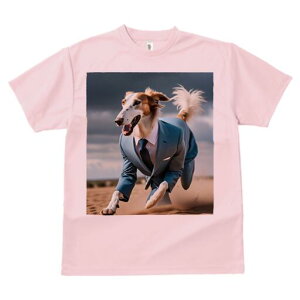 {]C TVc fB[X t@  t  vg JWA 킢 lԗp h ̃fUC ʔ X[c {]C lN^C