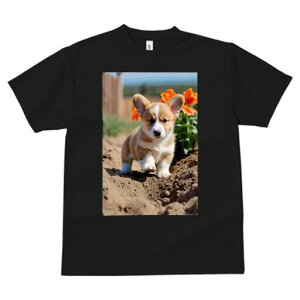 R[M[ TVc fB[X t@  t  vg JWA 킢 lԗp h ̃fUC ʔ  R[M[  y