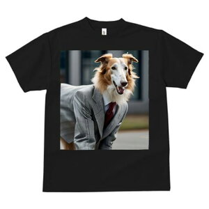 {]C TVc fB[X t@  t  vg JWA 킢 lԗp h ̃fUC ʔ X[c {]C lN^C