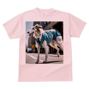 {]C TVc fB[X t@  t  vg JWA 킢 lԗp h ̃fUC ʔ X[c {]C lN^C X