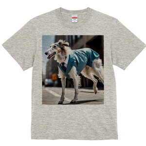 {]C TVc fB[X t@  t  vg JWA 킢 lԗp h ̃fUC ʔ X[c {]C lN^C X