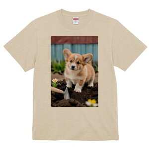 R[M[ TVc fB[X t@  t  vg JWA 킢 lԗp h ̃fUC ʔ K[fjO R[M[   y