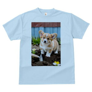 R[M[ TVc fB[X t@  t  vg JWA 킢 lԗp h ̃fUC ʔ K[fjO R[M[   y