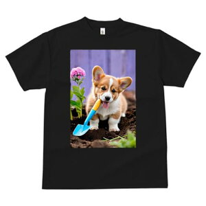 R[M[ TVc fB[X t@  t  vg JWA 킢 lԗp h ̃fUC ʔ  R[M[  Vx y