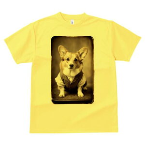 EFVR[M[ TVc fB[X t@  t  vg JWA 킢 lԗp h ̃fUC ʔ g EFVR[M[ Be[W X[c 