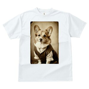 R[M[ TVc fB[X t@  t  vg JWA 킢 lԗp h ̃fUC ʔ AeB[N R[M[ g ߑ