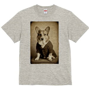 R[M[ TVc fB[X t@  t  vg JWA 킢 lԗp h ̃fUC ʔ X[c R[M[