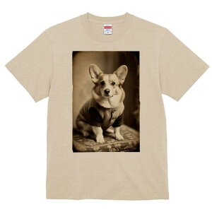 R[M[ TVc fB[X t@  t  vg JWA 킢 lԗp h ̃fUC ʔ g R[M[ Be[W 