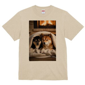 Č TVc fB[X t@  t  vg JWA 킢 lԗp h ̃fUC ʔ gF Č ѕz  ~