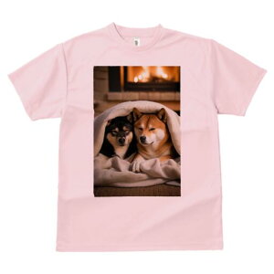 Č TVc fB[X t@  t  vg JWA 킢 lԗp h ̃fUC ʔ gF Č ѕz  ~