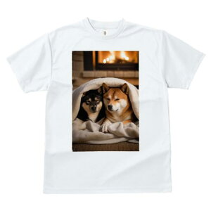 Č TVc fB[X t@  t  vg JWA 킢 lԗp h ̃fUC ʔ gF Č ѕz  ~